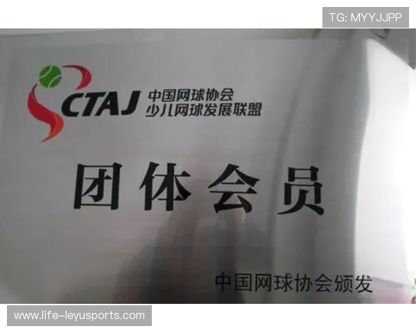 网球协会发布裁判员任命名单,中国网球协会裁判员 网球协会发布裁判员任命名单,中国网球协会裁判员